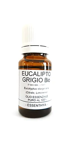 Olio Essenziale di Eucalipto grigio Bio Essenthya