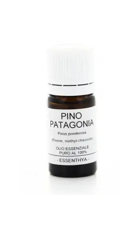 Olio Essenziale di Pino della Patagonia  Essenthya