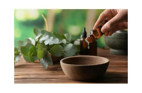 Olio essenziale di eucalipto: un rimedio per tosse, raffreddore, mal di gola e sinusiti